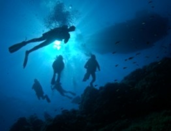 Tripadvisor – Why you should choose Cydive?